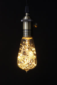 LED Light String Bulb #101